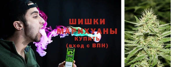 PSILOCYBIN Осинники