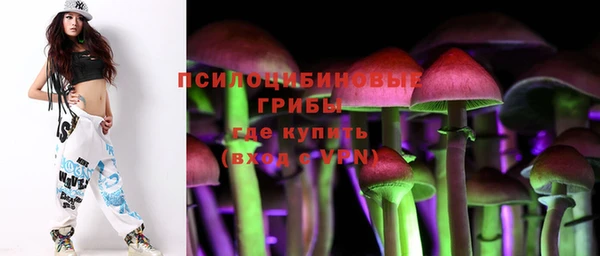 стафф Алексин