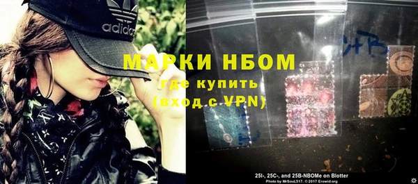 стафф Алексин