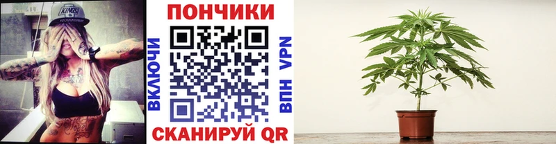 Каннабис планчик  Карачев 